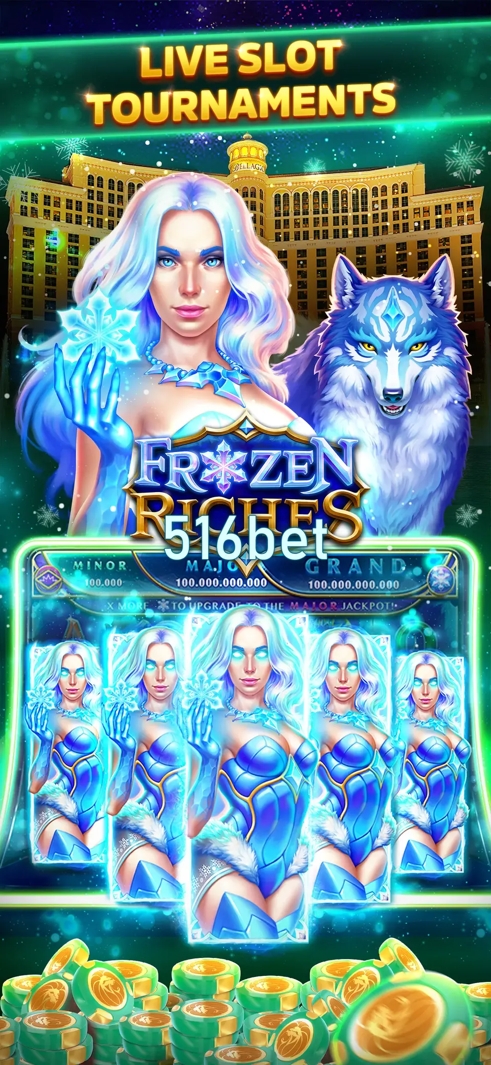 516bet Login
